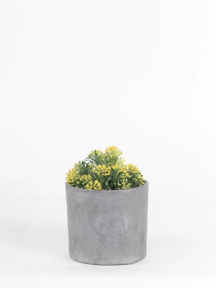Classic Ceramic Planter — 5" Dia × 4" Height — Primary View