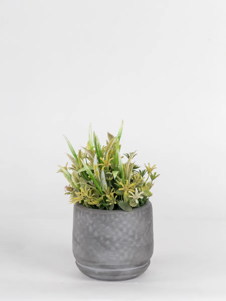 Classic Ceramic Planter — 4.5" Dia × 4" Height — Primary View
