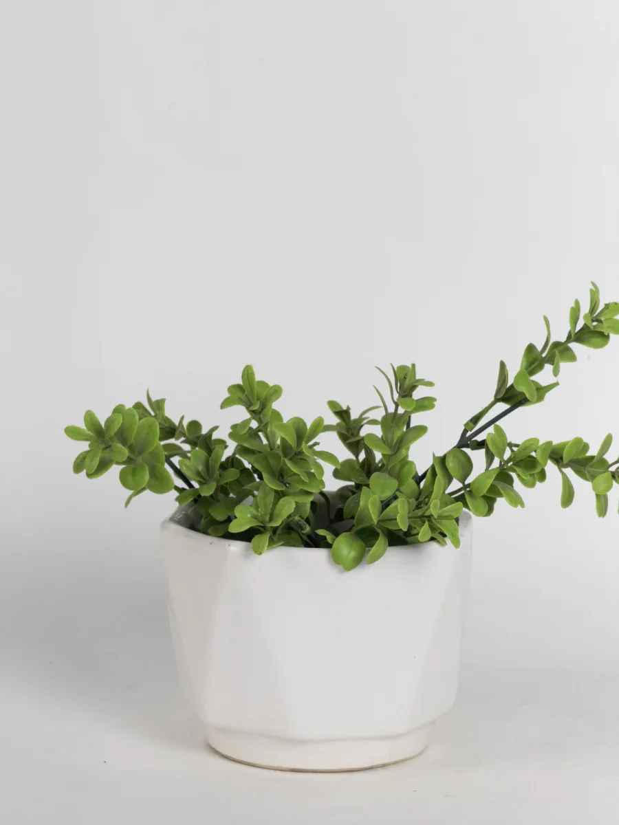 Classic Ceramic Planter — 4" Dia × 3.5" Height — Primary View