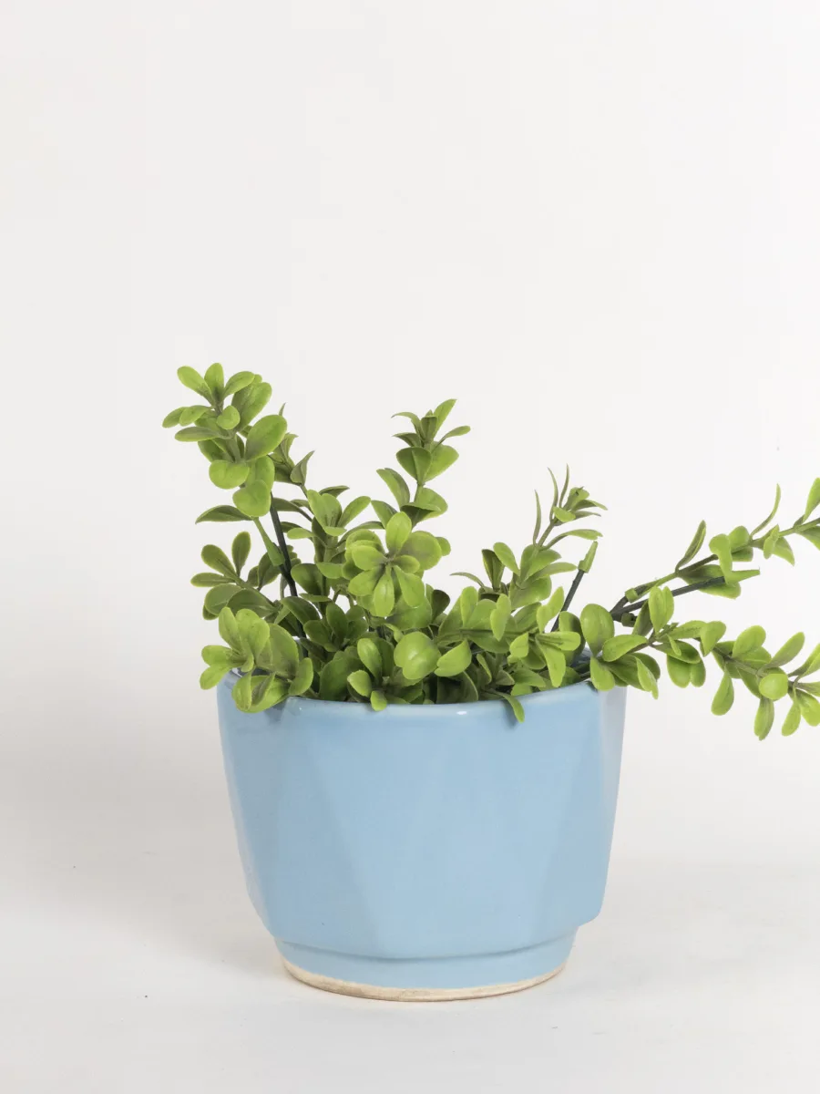 Classic Ceramic Planter — 5" Dia × 4" Height — Primary View