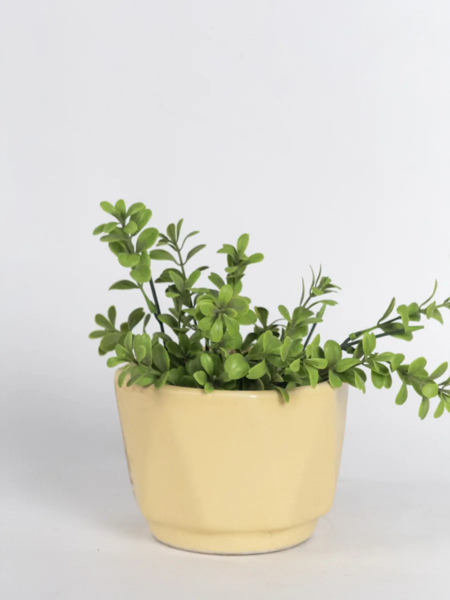 Classic Ceramic Planter — 3" Dia × 3" Height — Primary View