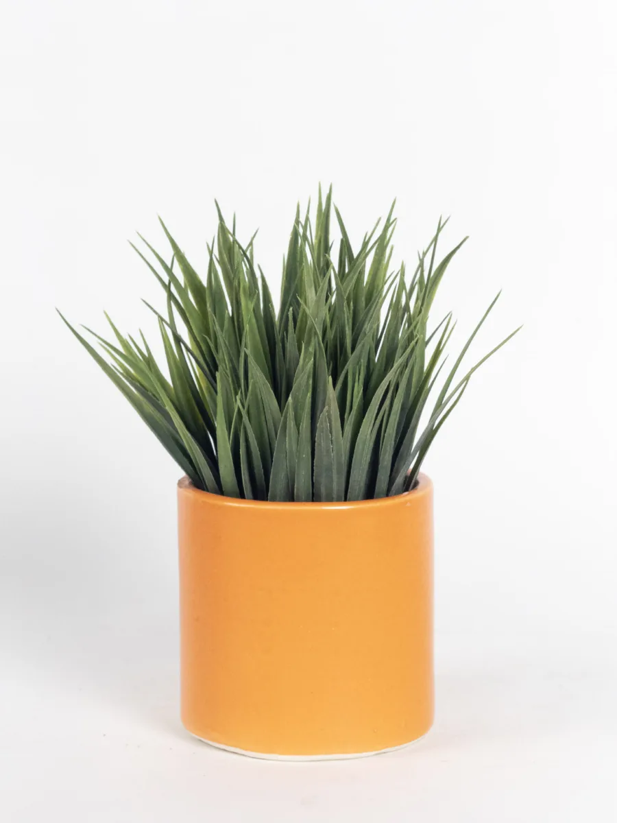 Classic Ceramic Planter — 4" Dia × 4" Height — Primary View