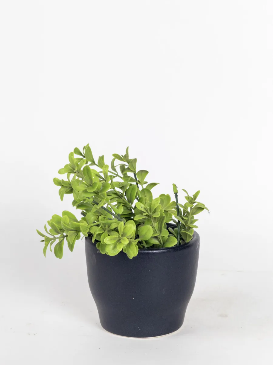 Classic Ceramic Planter — 4" Dia × 4" Height — Primary View