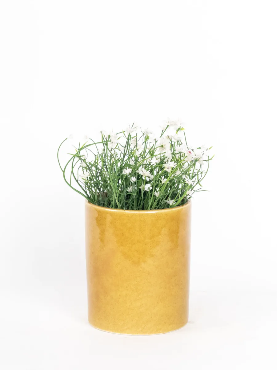 Classic Ceramic Planter — 5" Dia × 3.5" Height — Primary View