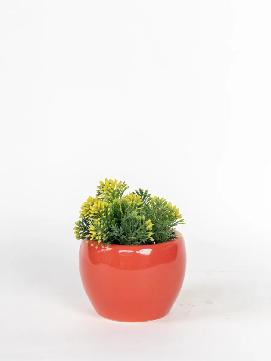 Classic Ceramic Planter — 4" Dia × 4" Height — Primary View