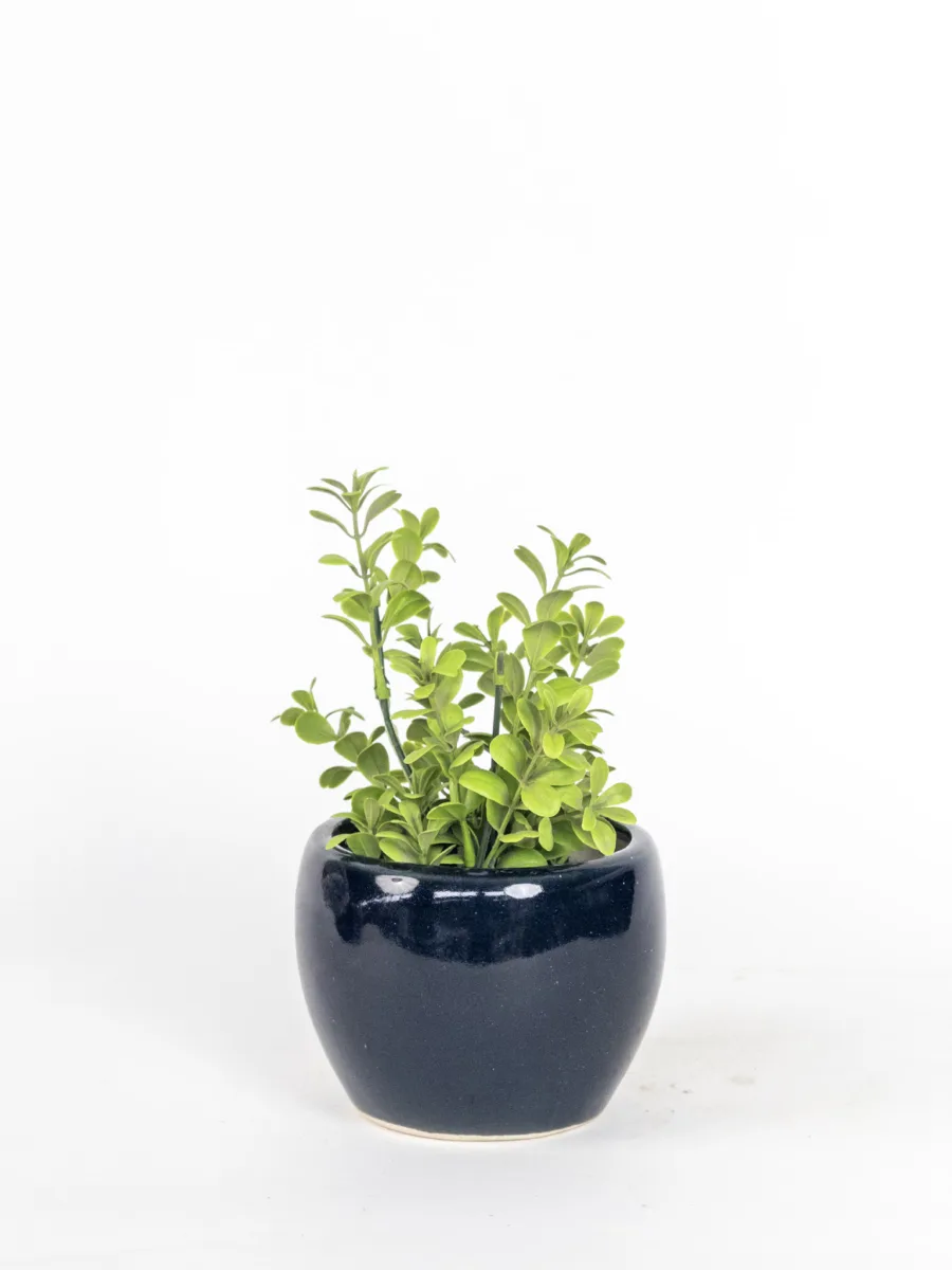 Classic Ceramic Planter — 4" Dia × 4" Height — Primary View