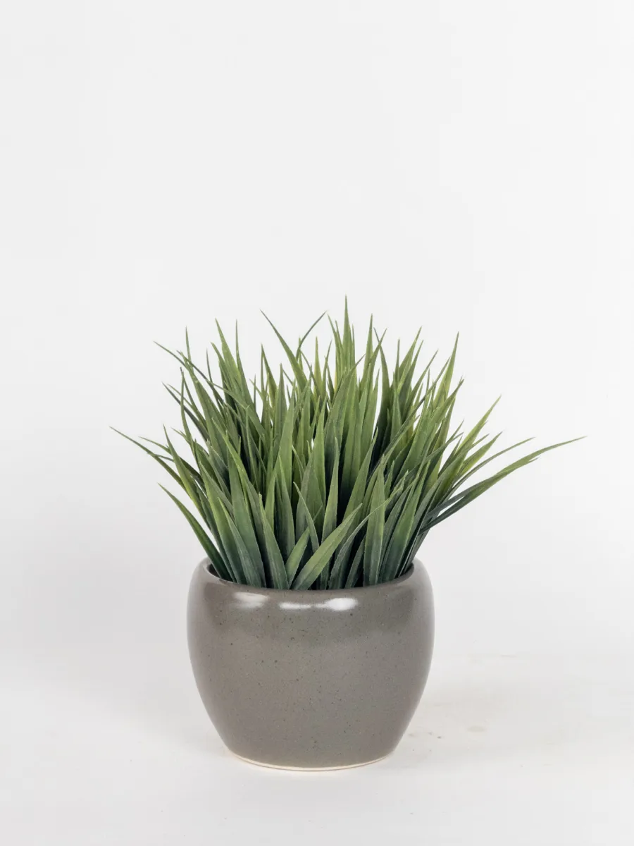 Classic Ceramic Planter — 4" Dia × 4" Height — Primary View