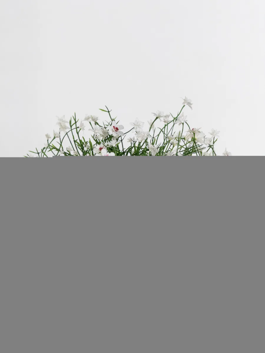 Classic Ceramic Planter — 4" Dia × 3.5" Height — Primary View