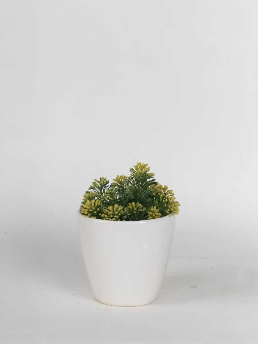 Classic Ceramic Planter — 3.5" Dia × 3" Height — Primary View