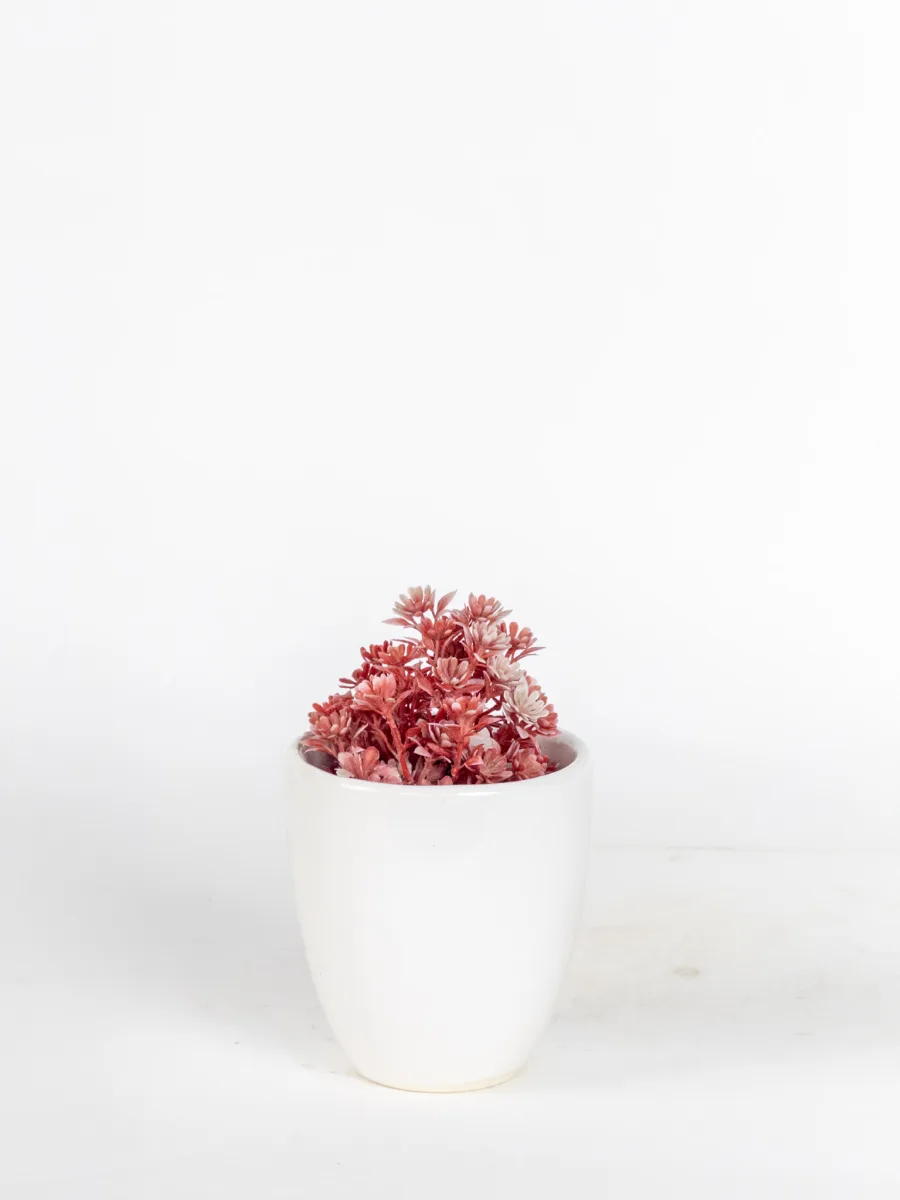 Classic Ceramic Planter — 5" Dia × 5.5" Height — Primary View