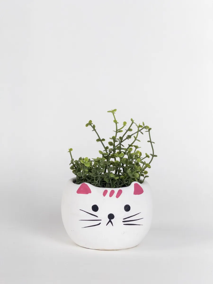 Classic Ceramic Planter — 5" Dia × 4.5" Height — Primary View