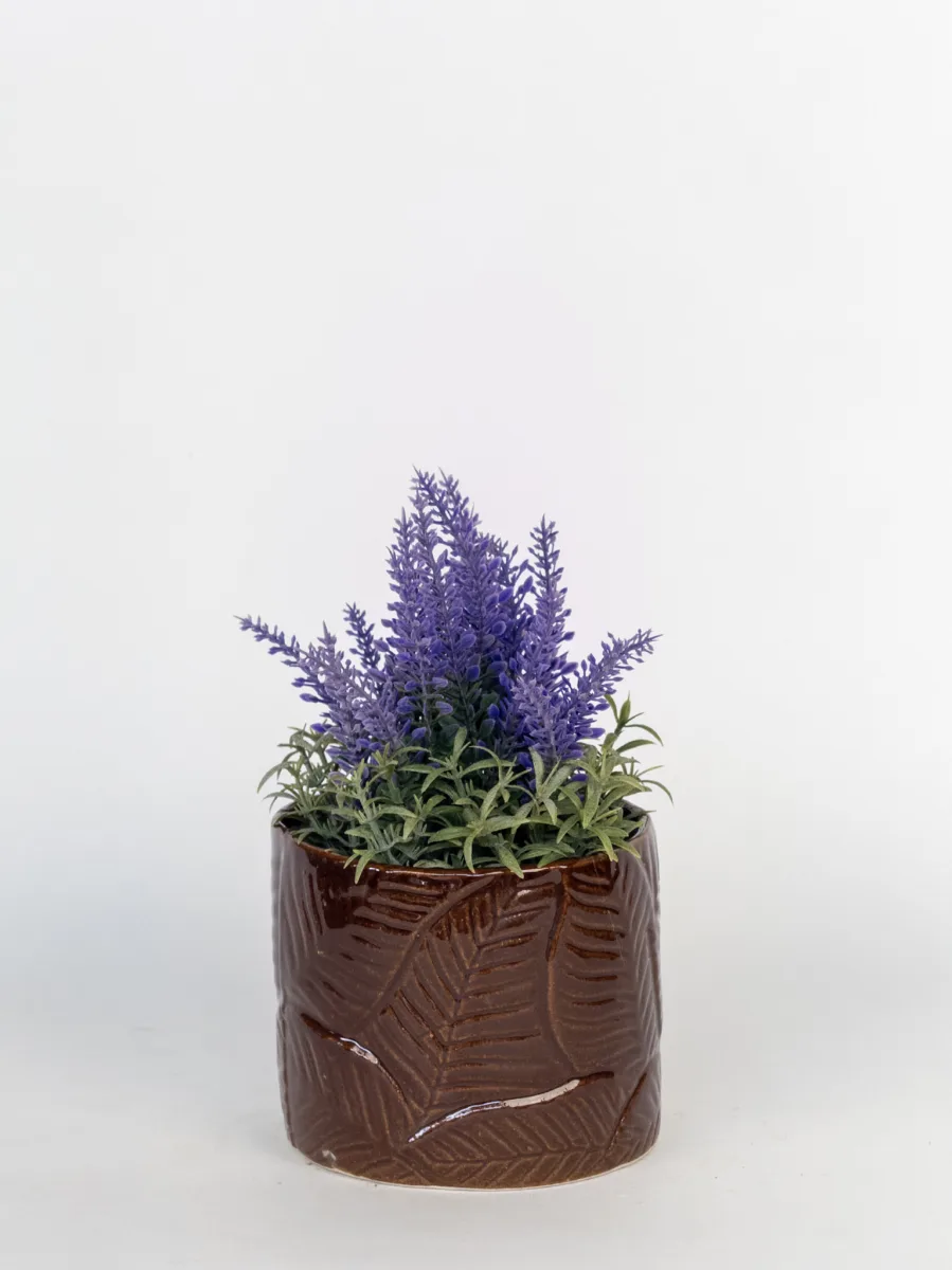 Classic Ceramic Planter — 5.5" Dia × 5" Height — Primary View