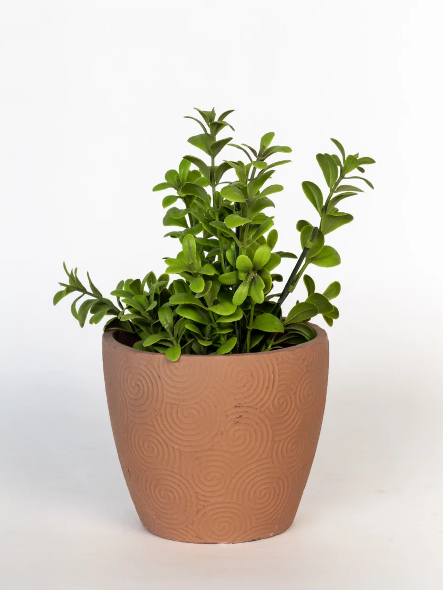 Classic Ceramic Planter — 4.5" Dia × 4" Height — Primary View