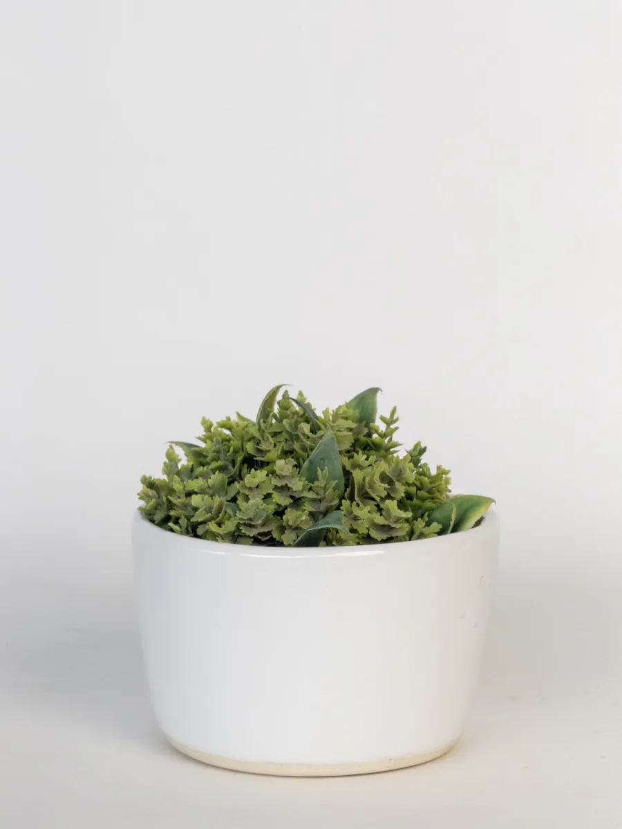 Classic Ceramic Planter — 4.5" Dia × 3.5" Height — Primary View