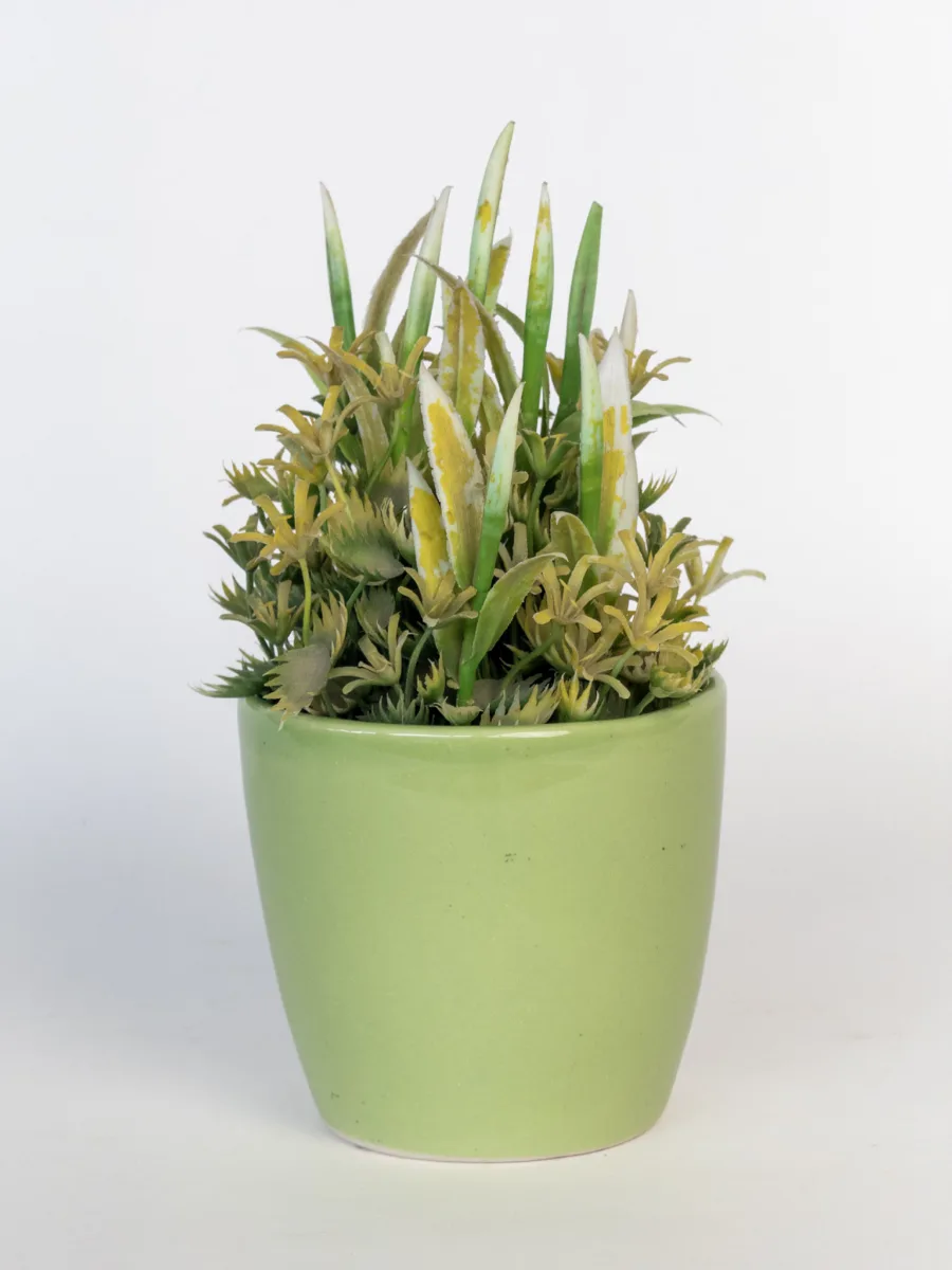 Classic Ceramic Planter — 4" Dia × 3.5" Height — Primary View