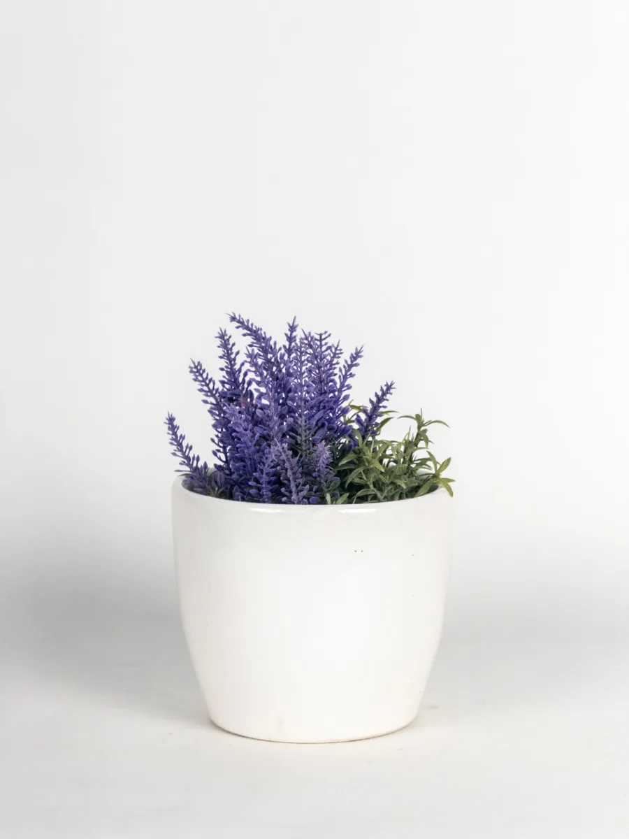 Classic Ceramic Planter — 3.5" Dia × 3.5" Height — Primary View