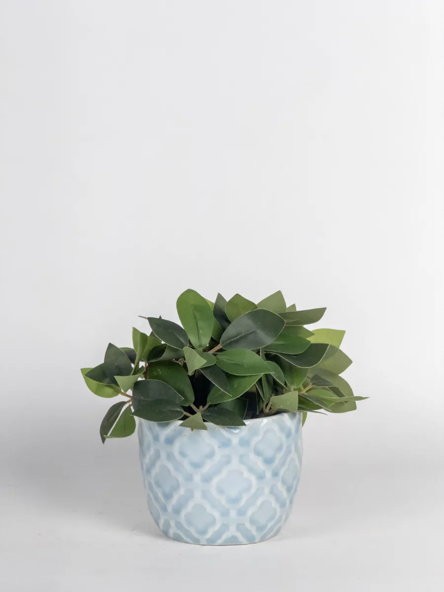 Classic Ceramic Planter — 4" Dia × 3.5" Height — Primary View