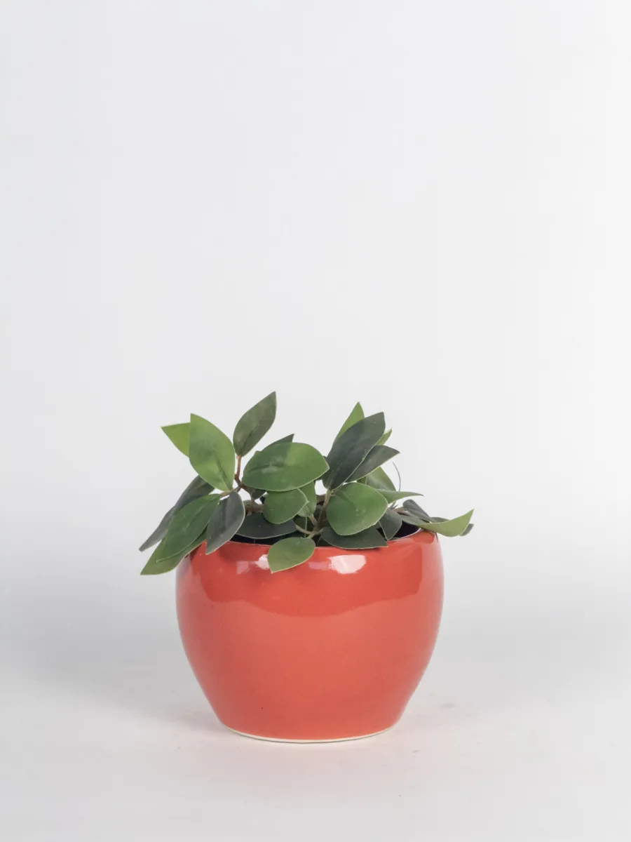 Classic Ceramic Planter — 3.3" Dia × 3" Height — Primary View