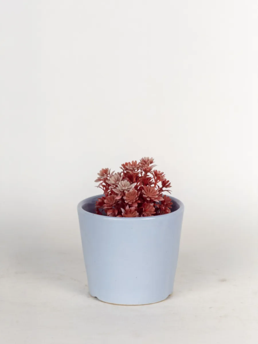 Classic Ceramic Planter — 4" Dia × 3.5" Height — Primary View