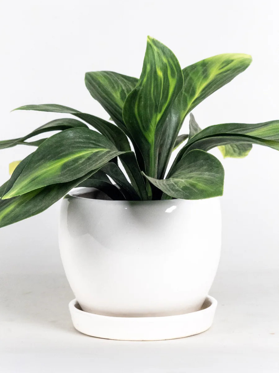 Classic Ceramic Planter — 4.5" Dia × 4" Height — Primary View