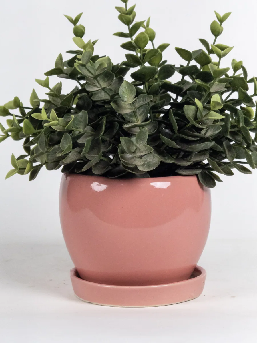 Classic Ceramic Planter — 4.5" Dia × 4.5" Height — Primary View