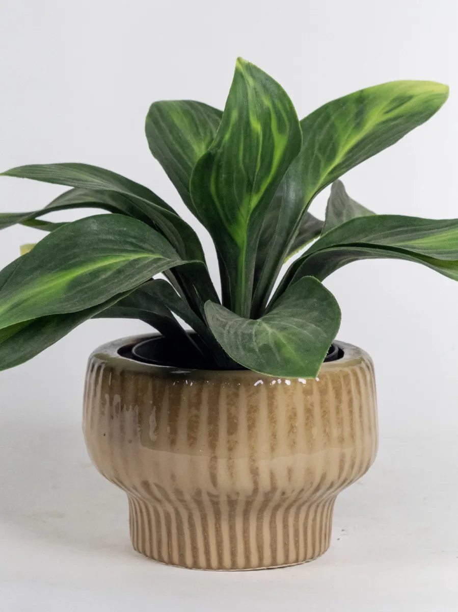 Classic Ceramic Planter — 4.5" Dia × 3.5" Height — Primary View