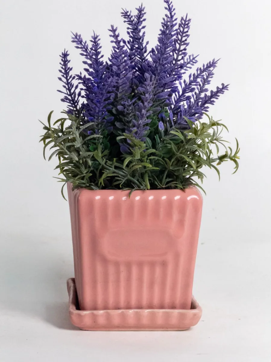 Classic Ceramic Planter — 4" Dia × 3.5" Height — Primary View