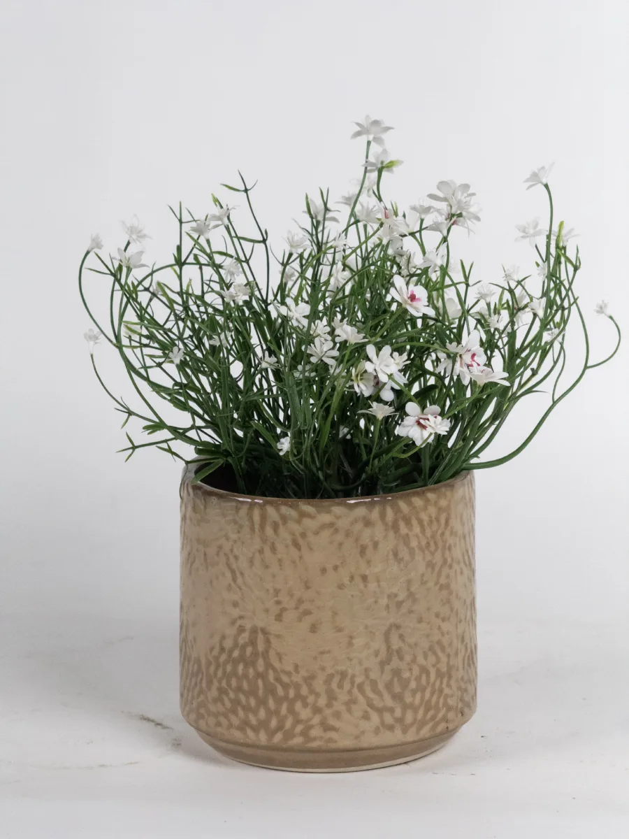 Classic Ceramic Planter — 4" Dia × 4" Height — Primary View
