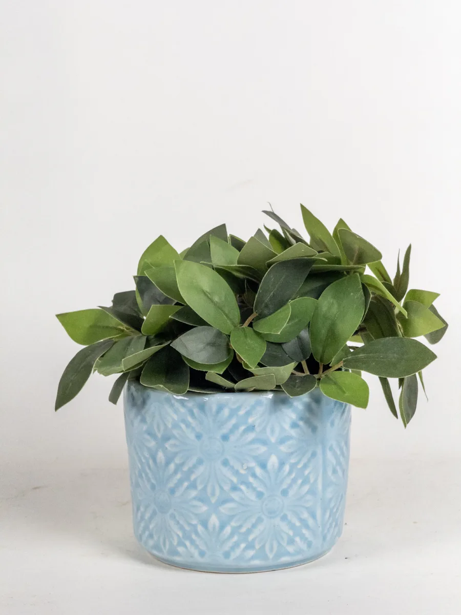 Classic Ceramic Planter — 5" Dia × 4.5" Height — Primary View