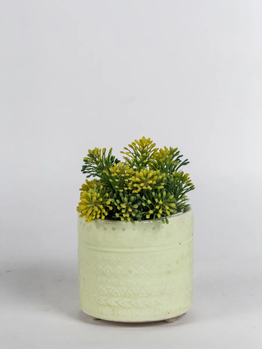 Classic Ceramic Planter — 5" Dia × 3.5" Height — Primary View