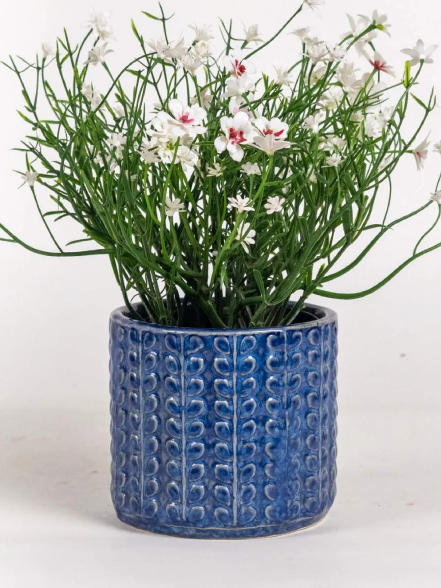 Classic Ceramic Planter — 4" Dia × 3.5" Height — Primary View