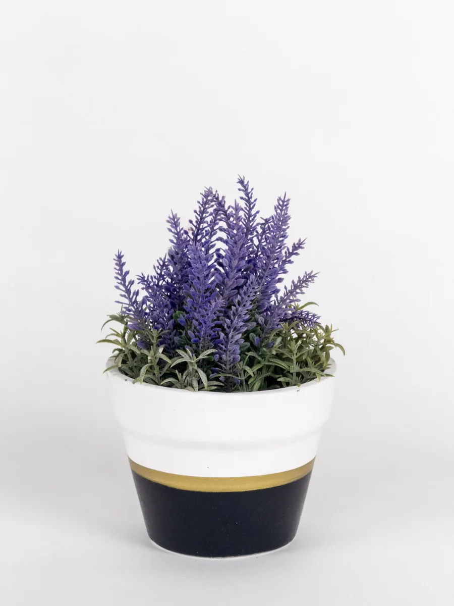Classic Ceramic Planter — 5" Dia × 4.5" Height — Primary View