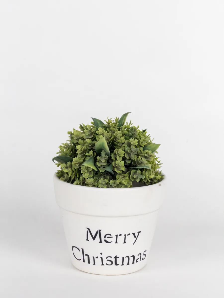 Classic Ceramic Planter — 5" Dia × 4" Height — Primary View