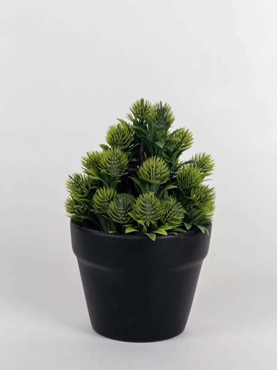 Classic Ceramic Planter — 4.5" Dia × 4" Height — Primary View
