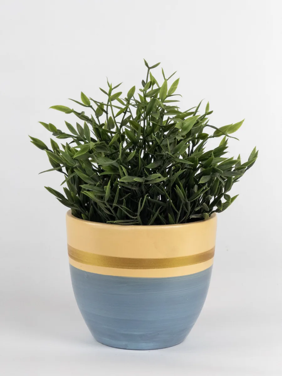 Classic Ceramic Planter — 5" Dia × 4" Height — Primary View