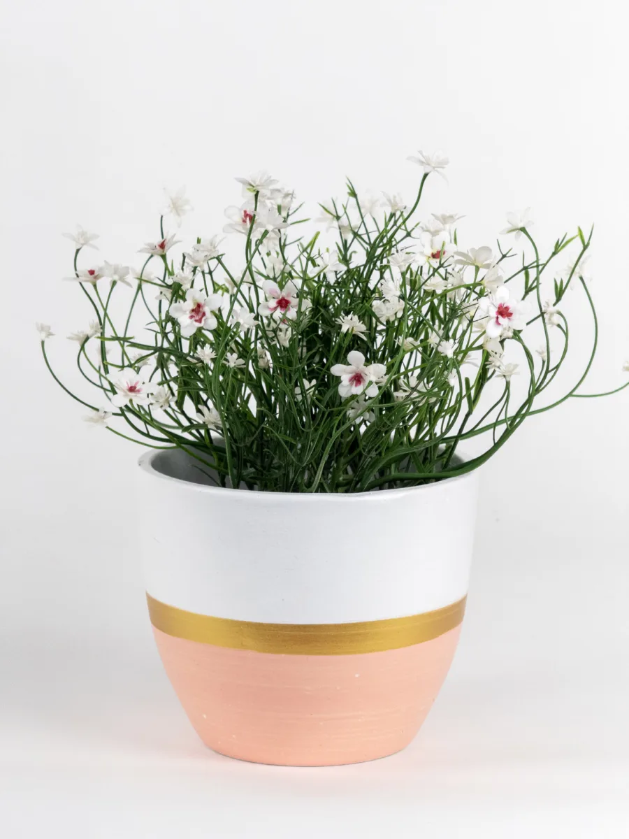 Classic Ceramic Planter — 5" Dia × 4" Height — Primary View