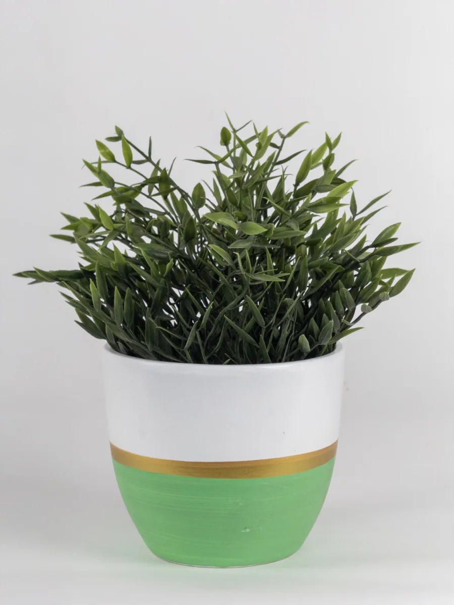 Classic Ceramic Planter — 5" Dia × 4" Height — Primary View