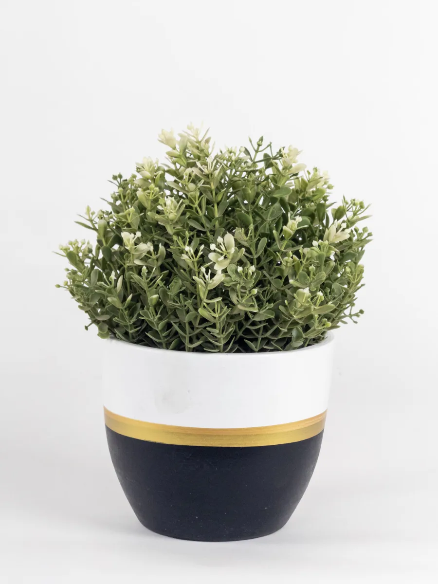 Classic Ceramic Planter — 5" Dia × 4" Height — Primary View