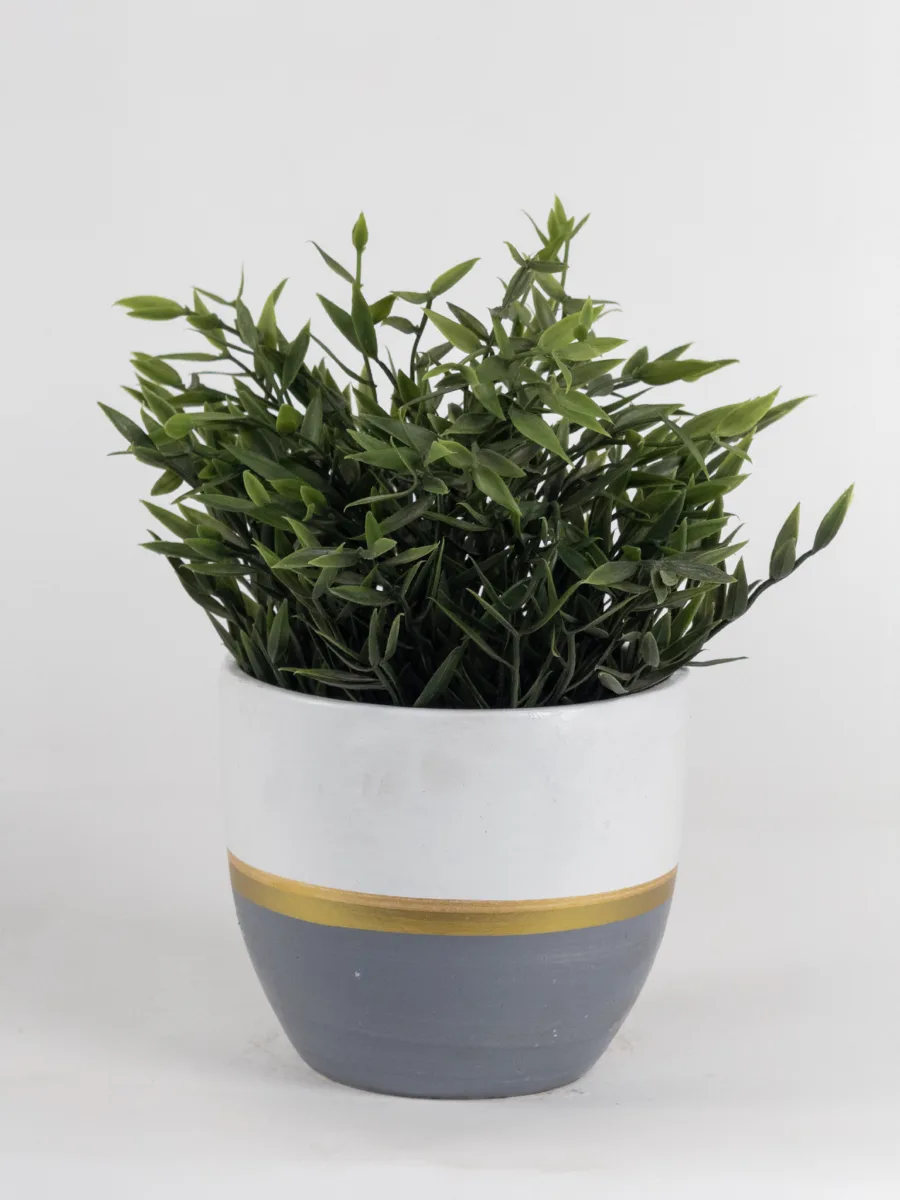 Classic Ceramic Planter — 5" Dia × 4" Height — Primary View