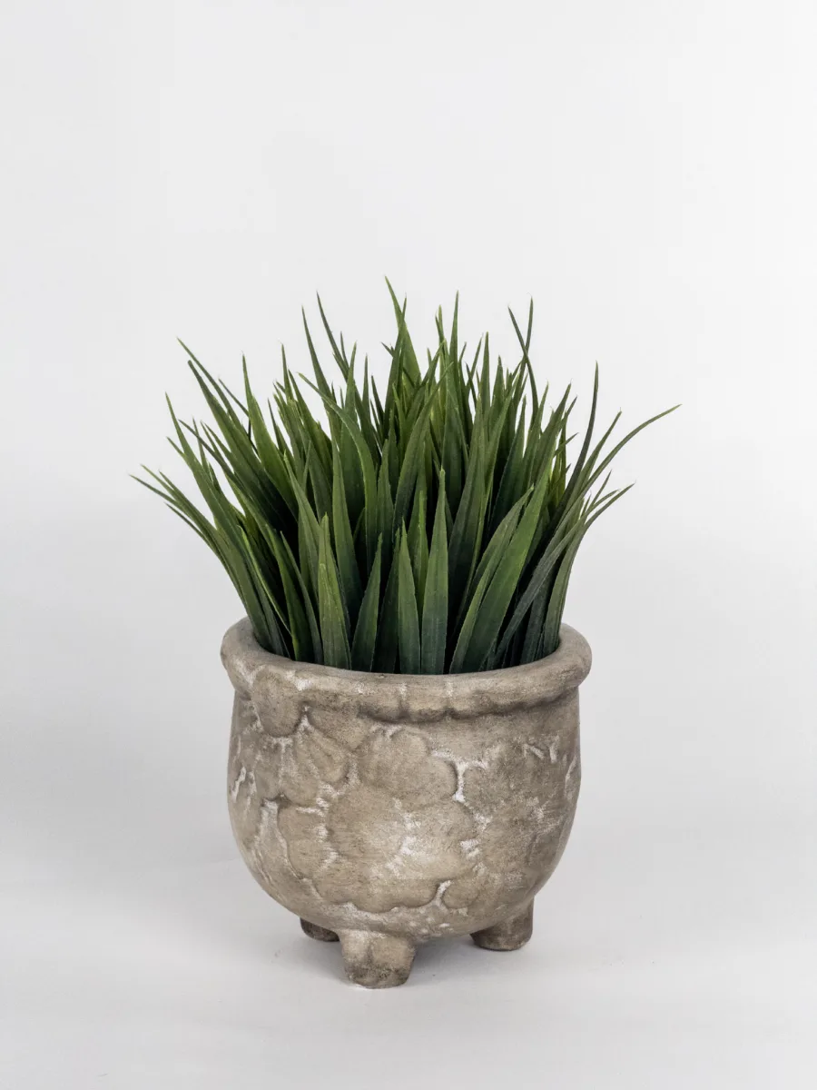 Classic Ceramic Planter — 5.5" Dia × 5" Height — Primary View