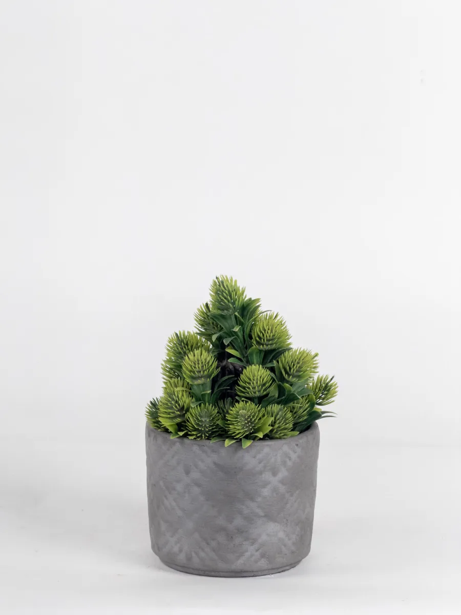 Classic Ceramic Planter — 5.5" Dia × 5" Height — Primary View
