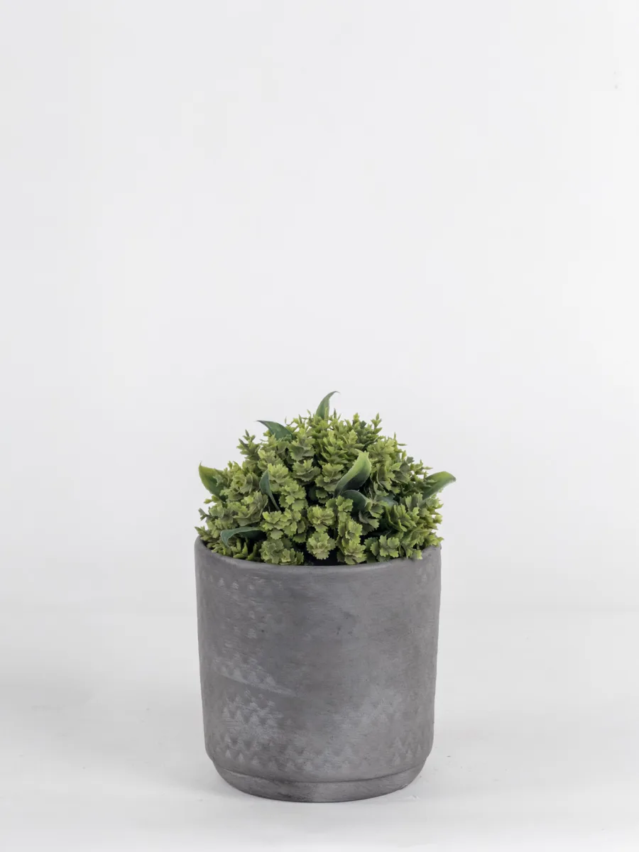 Classic Ceramic Planter — 5.5" Dia × 5" Height — Primary View