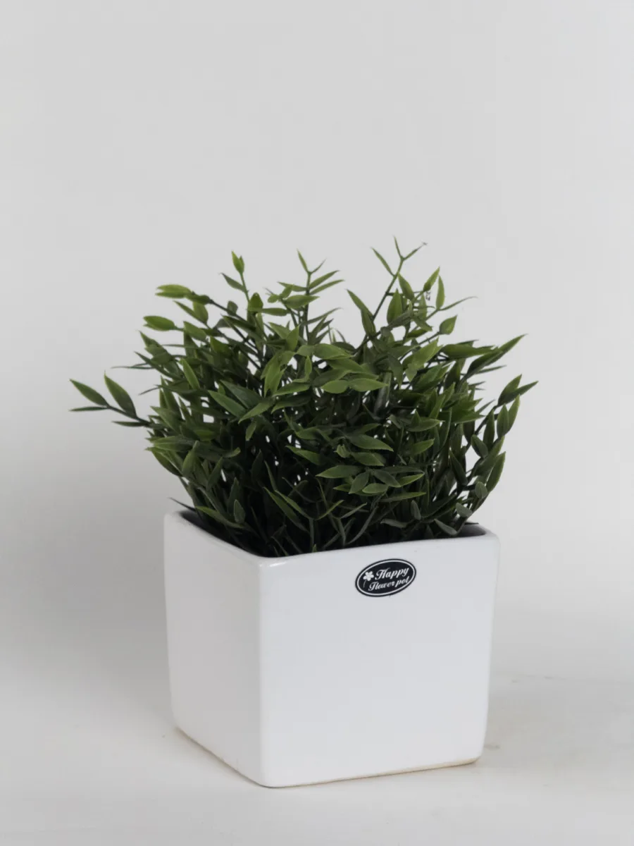 Classic Ceramic Planter — 5.5" Dia × 5" Height — Primary View