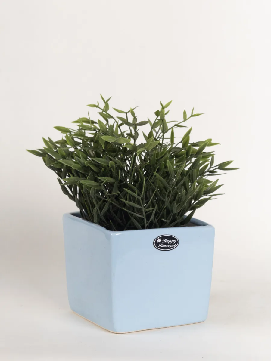 Classic Ceramic Planter — 5.5" Dia × 5" Height — Primary View