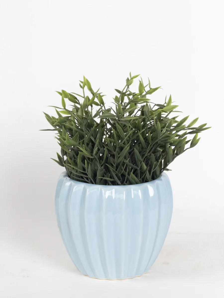 Classic Ceramic Planter — 5.5" Dia × 5" Height — Primary View