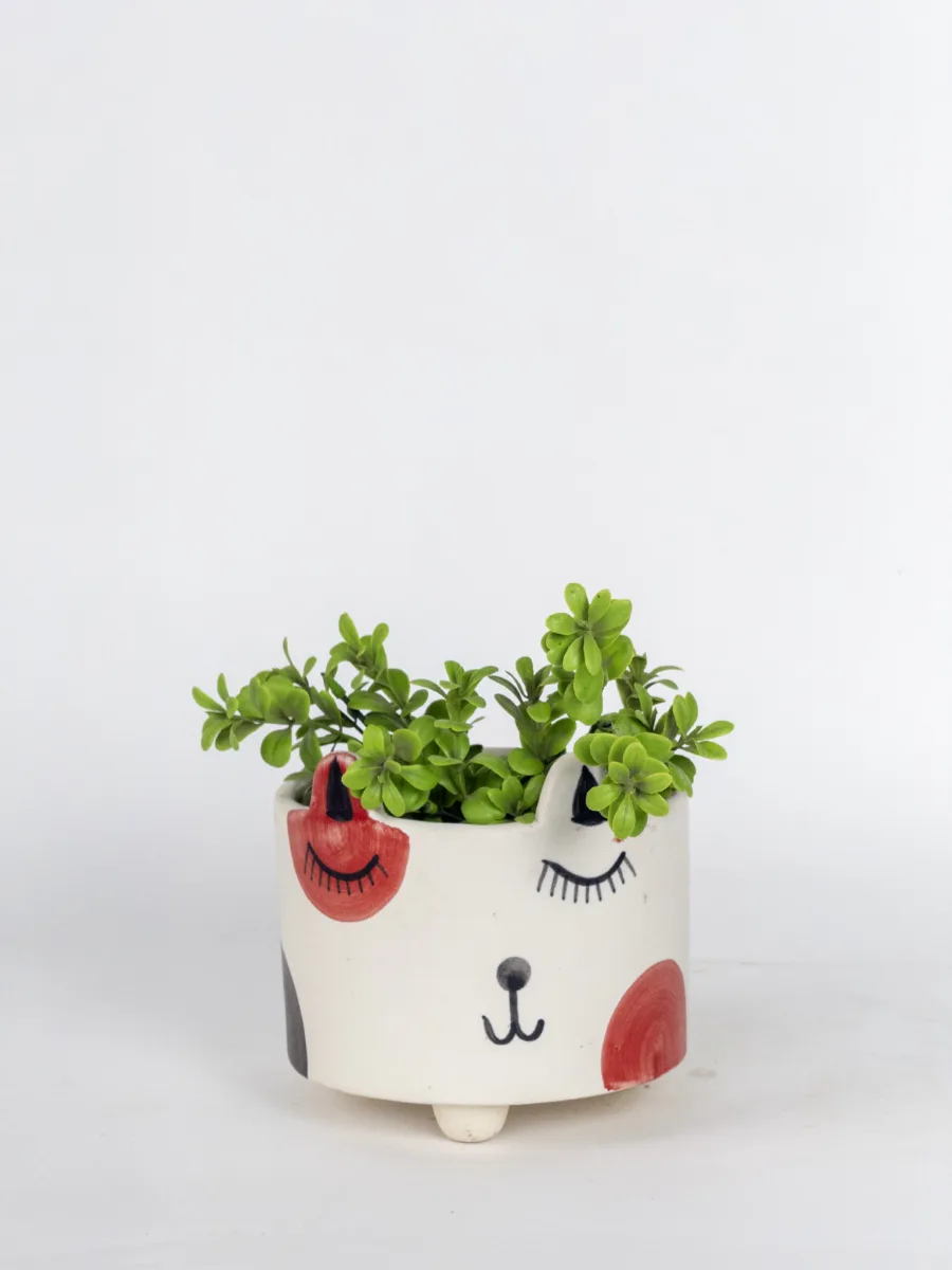 Classic Ceramic Planter — 4.5" Dia × 4" Height — Primary View