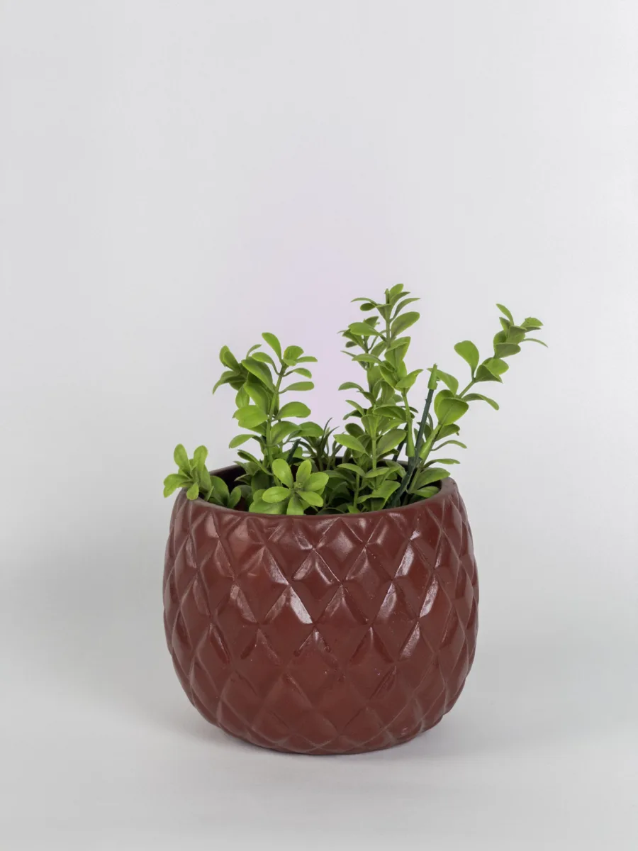 Classic Ceramic Planter — 5" Dia × 4" Height — Primary View