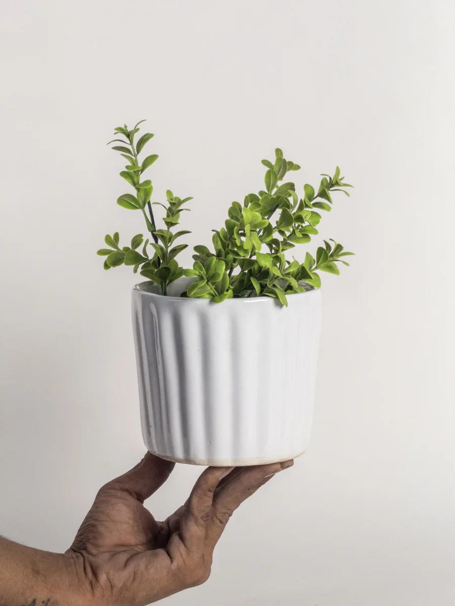 Classic Ceramic Planter — 5" Dia × 4" Height — Primary View