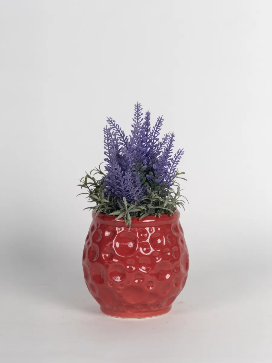 Classic Ceramic Planter — 5" Dia × 4" Height — Primary View