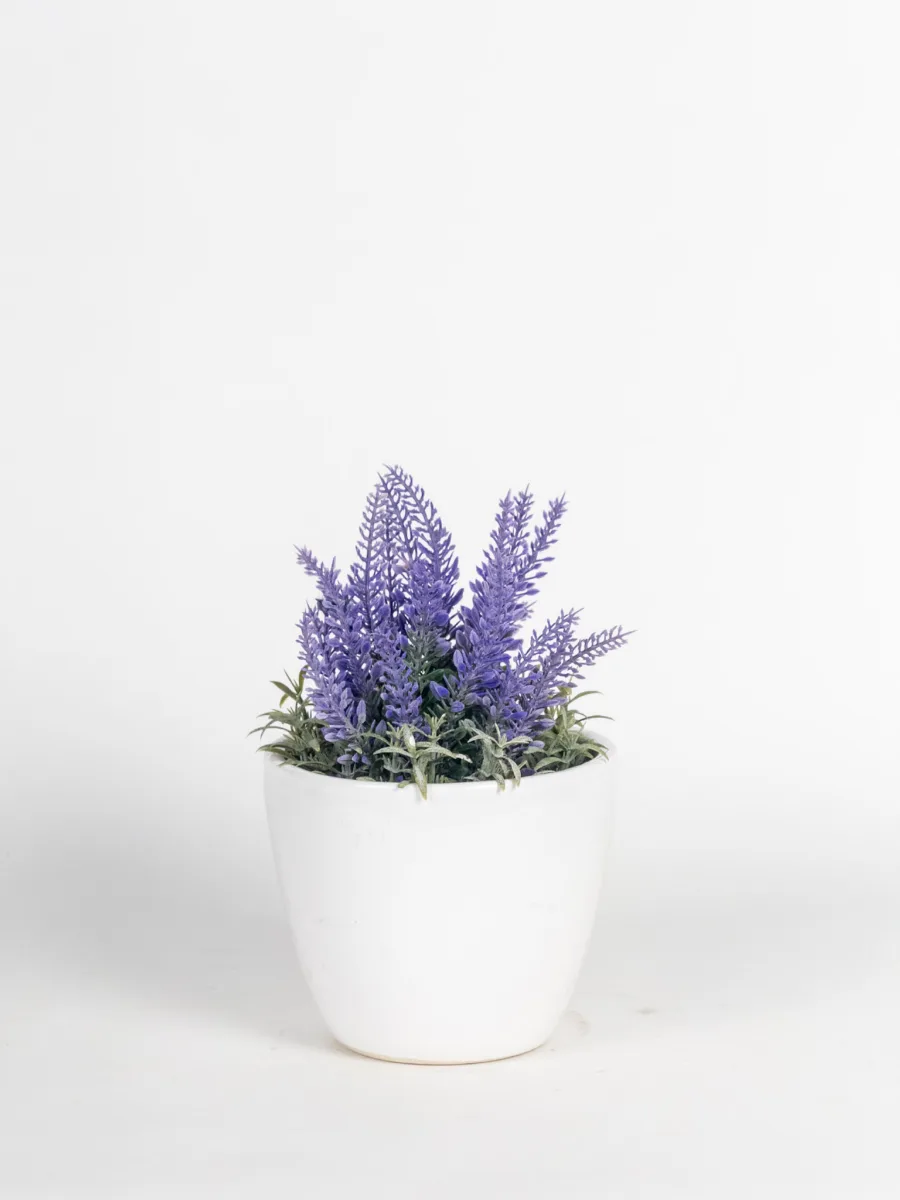 Classic Ceramic Planter — Primary View